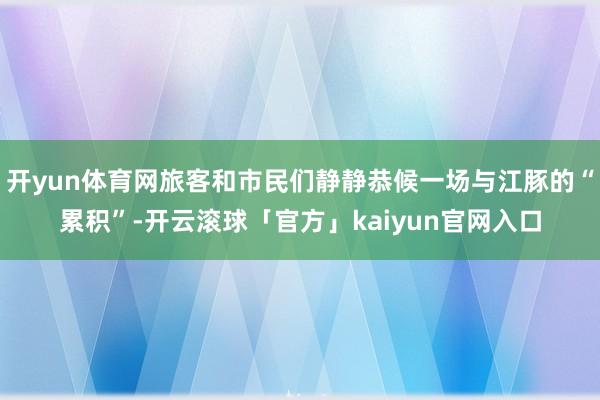 开yun体育网旅客和市民们静静恭候一场与江豚的“累积”-开云滚球「官方」kaiyun官网入口