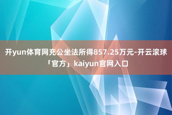 开yun体育网充公坐法所得857.25万元-开云滚球「官方」kaiyun官网入口