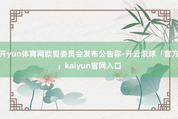 开yun体育网欧盟委员会发布公告称-开云滚球「官方」kaiyun官网入口